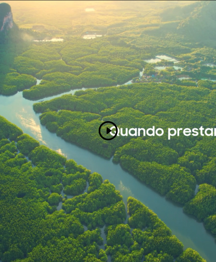 Video de apresentação da coleção Origens Nativas